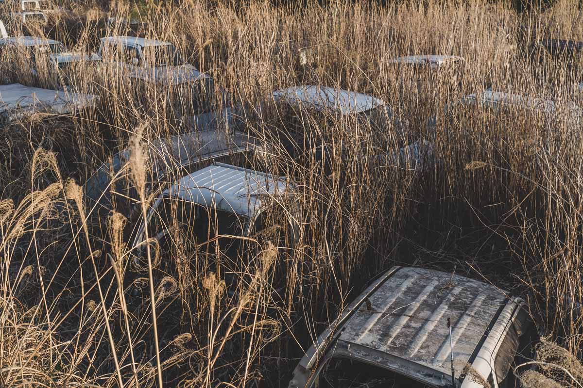 Abandoned Cars<p>© Taisuke Sato</p>