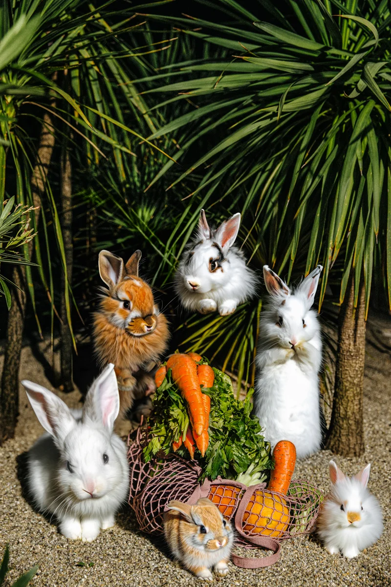 <p>© Tina Sturzenegger</p>