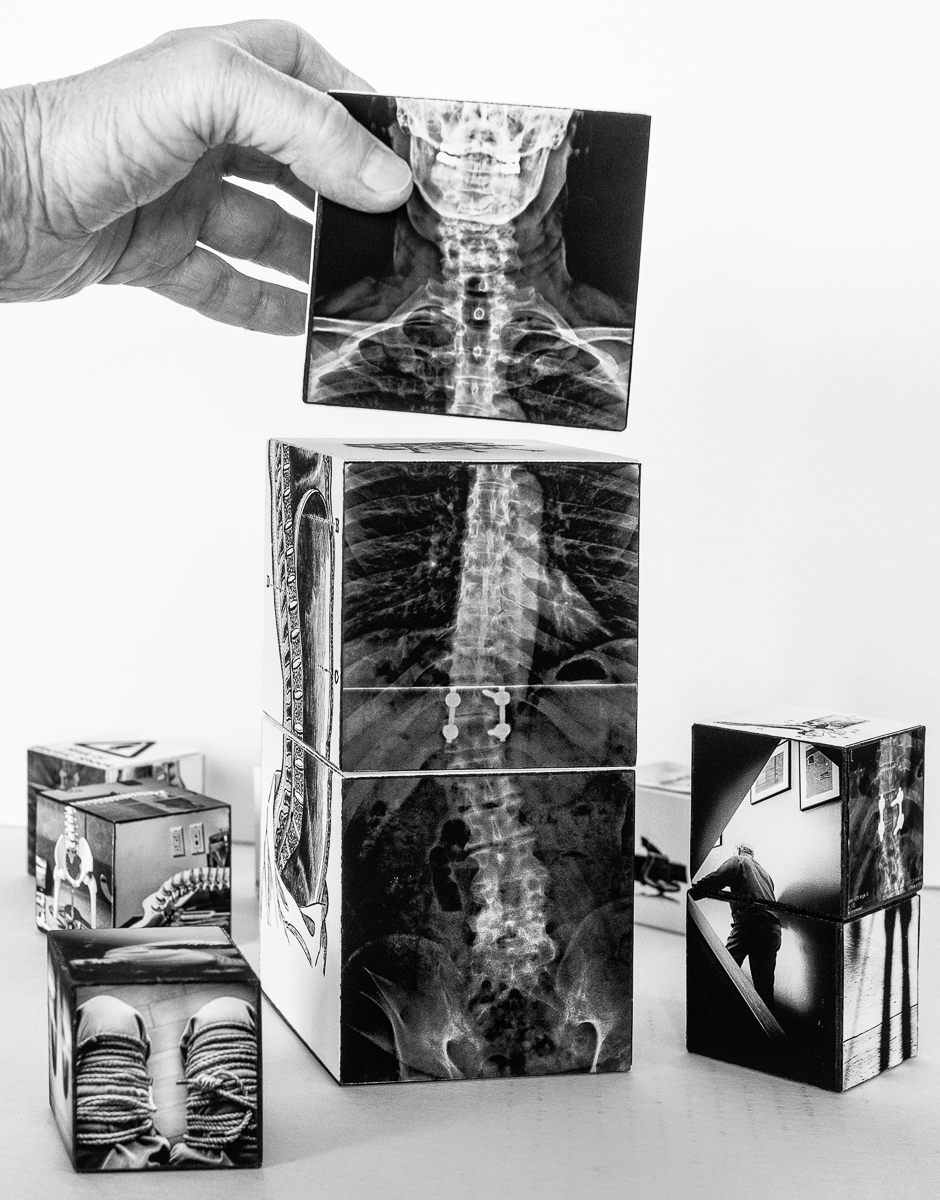 <p>© Wayne Swanson</p>