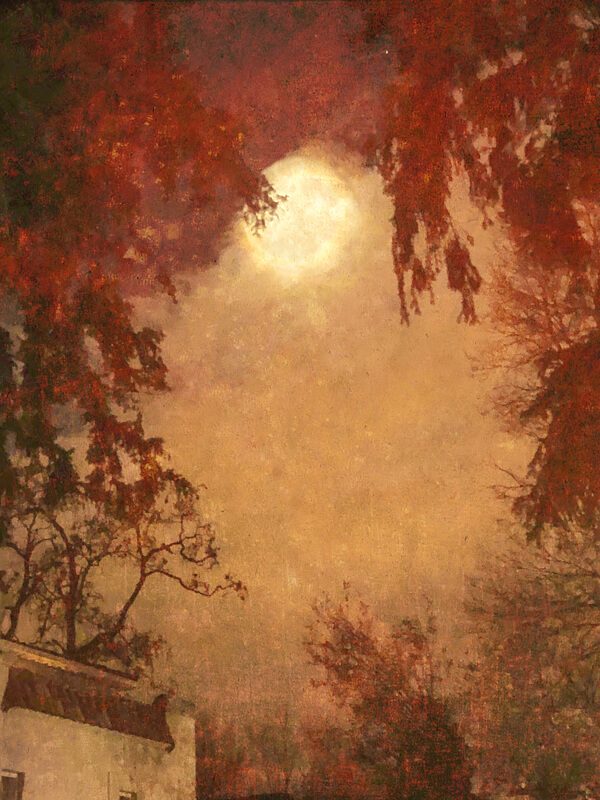 An Evening with the Moon<p>© Wendi Schneider</p>