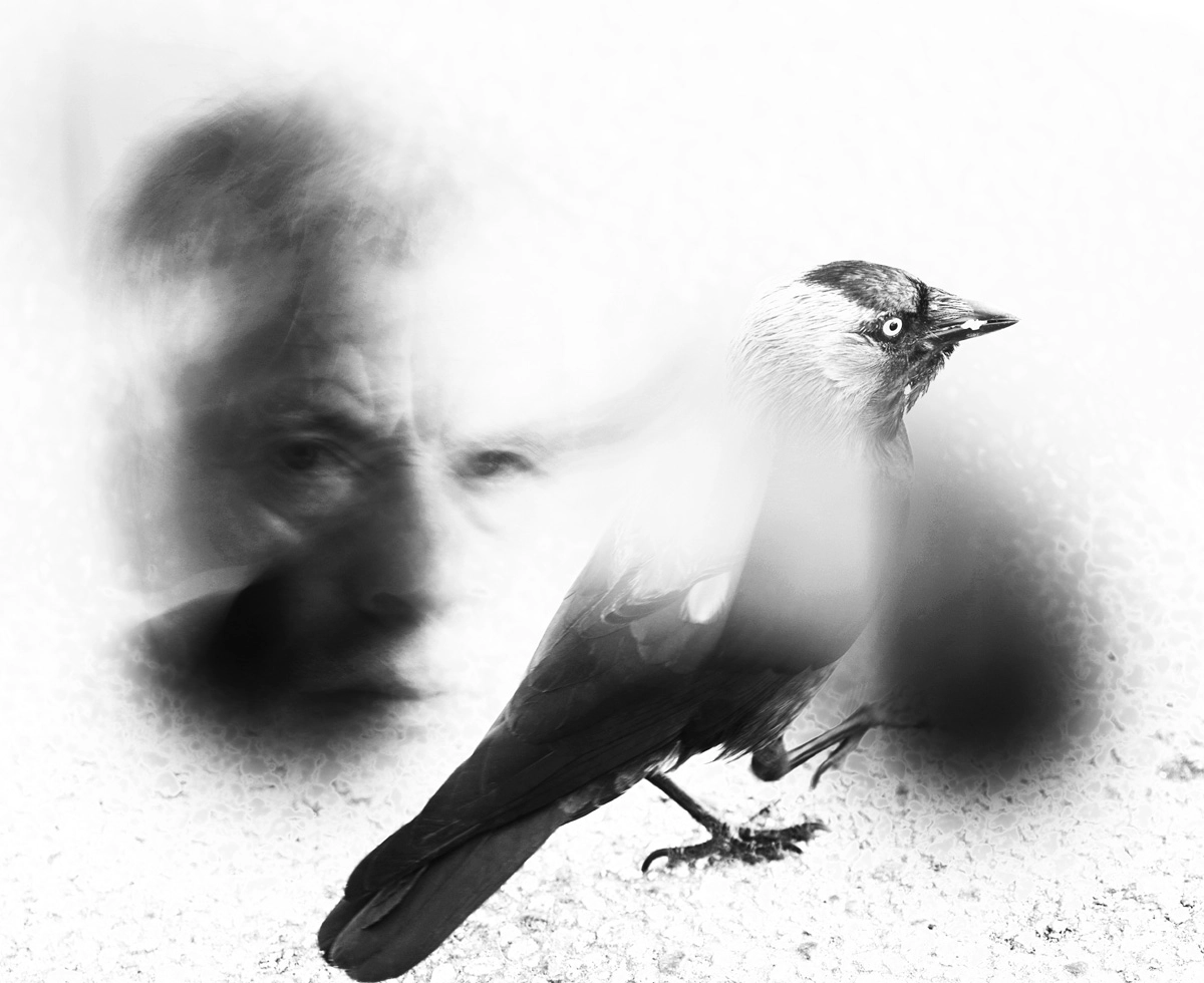 Watchful eyes whispers of dangers<p>© Ylva Sjögren</p>