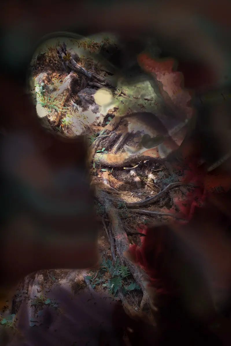 Antropomorthic Nature 8<p>© Anna Tut</p>