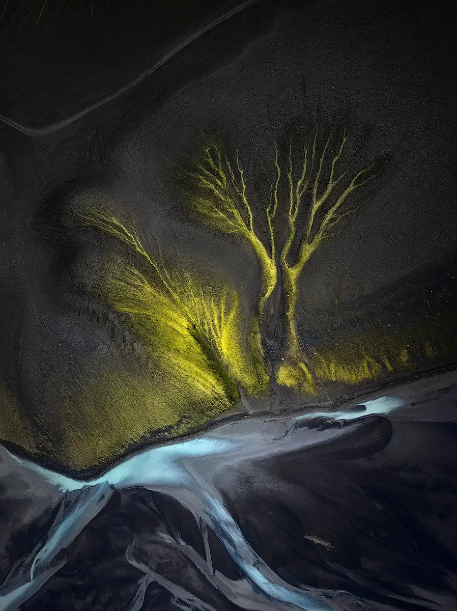 <p>&copy; Isabella Tabacchi</p>