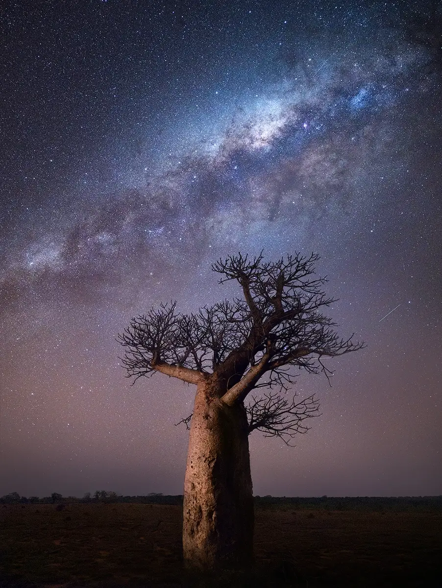 <p>&copy; Isabella Tabacchi</p>