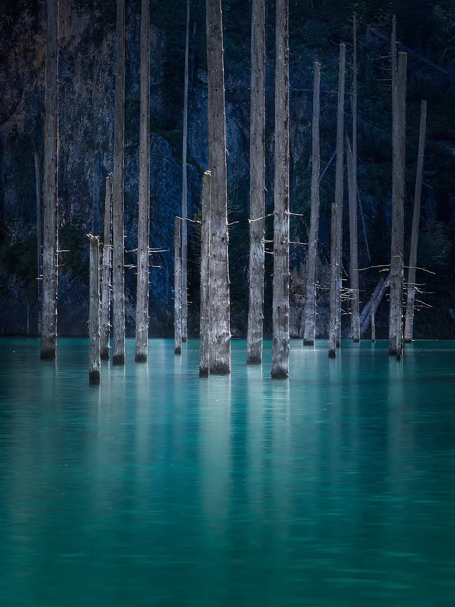 <p>&copy; Isabella Tabacchi</p>