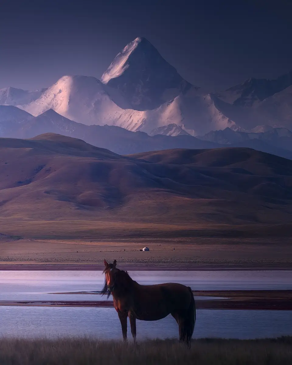 <p>&copy; Isabella Tabacchi</p>