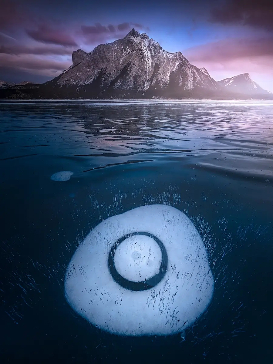 <p>&copy; Isabella Tabacchi</p>