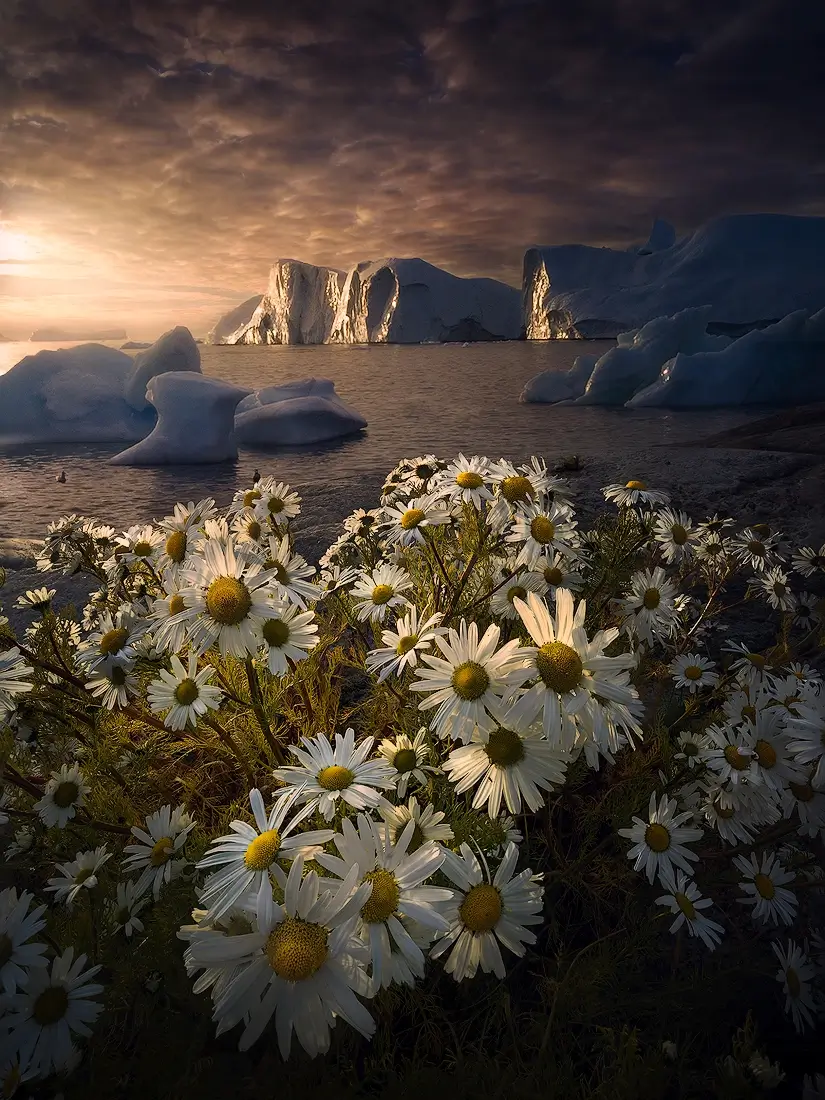 <p>&copy; Isabella Tabacchi</p>