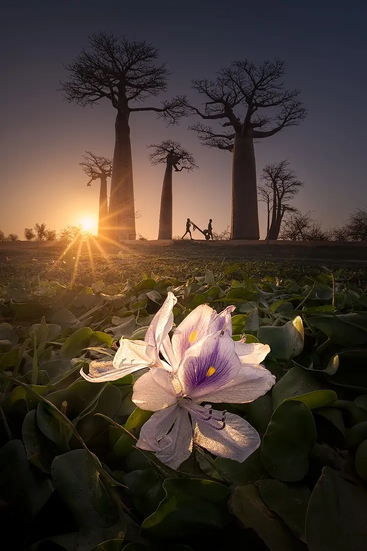 <p>&copy; Isabella Tabacchi</p>