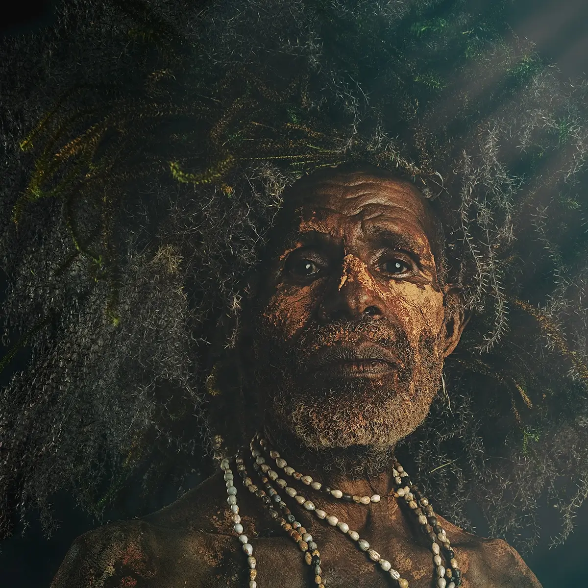 <p>&copy; Kristyn Taylor</p>