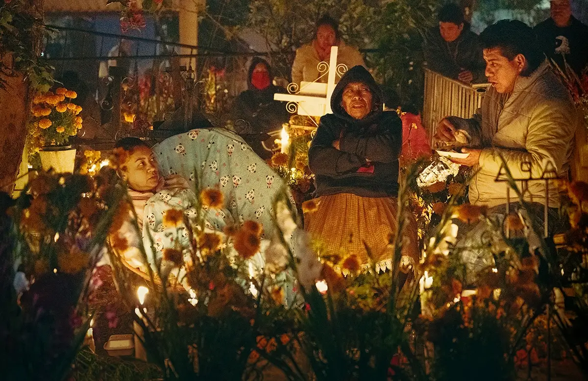 <p>&copy; Kristyn Taylor</p>