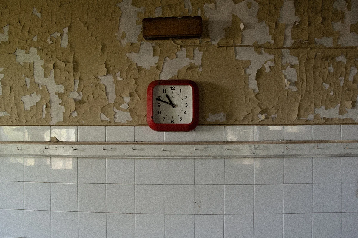 <p>&copy; Laura Tomé </p>