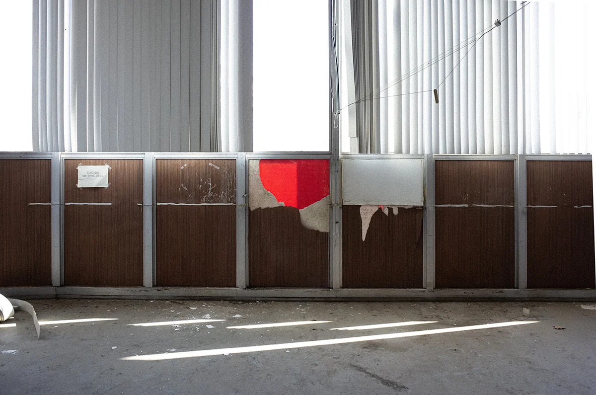 <p>&copy; Laura Tomé </p>
