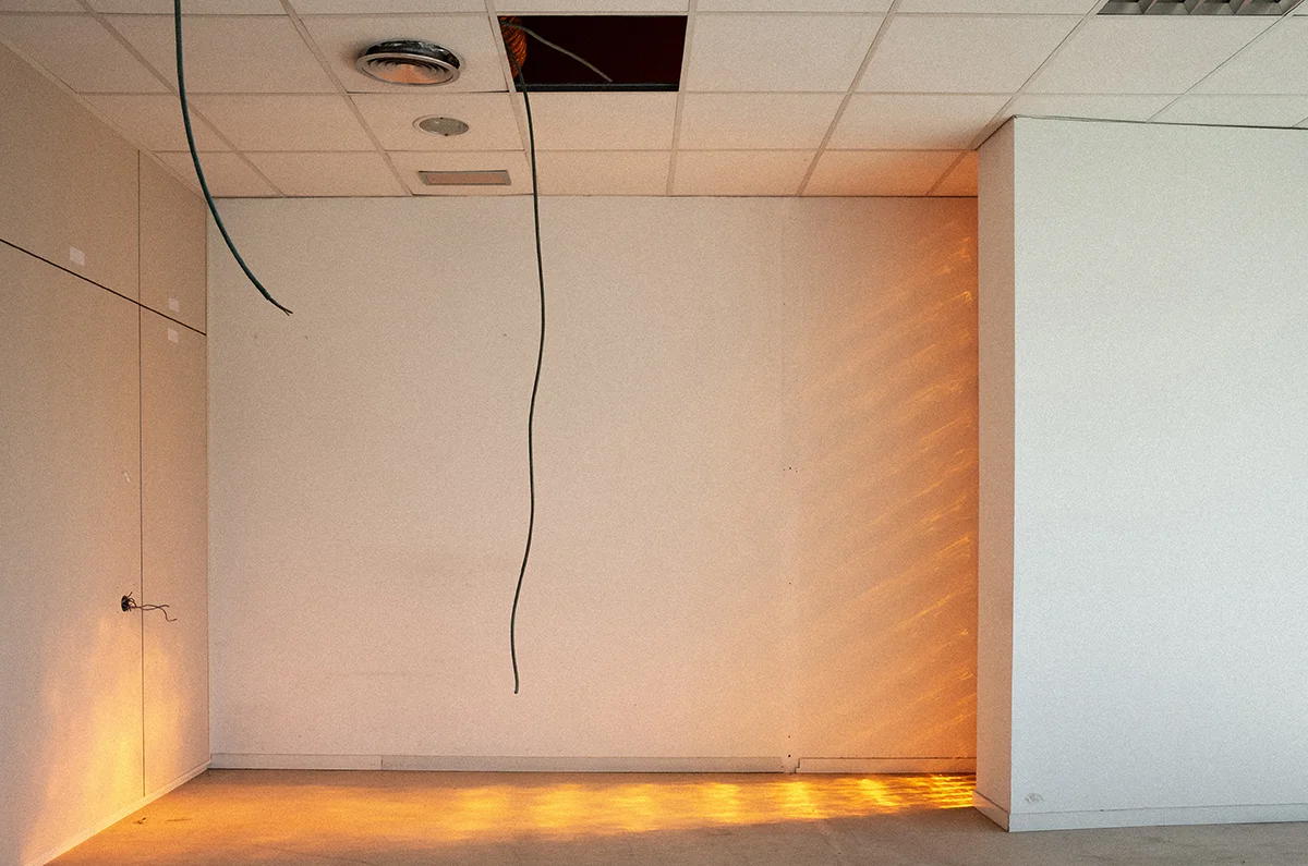 <p>&copy; Laura Tomé </p>