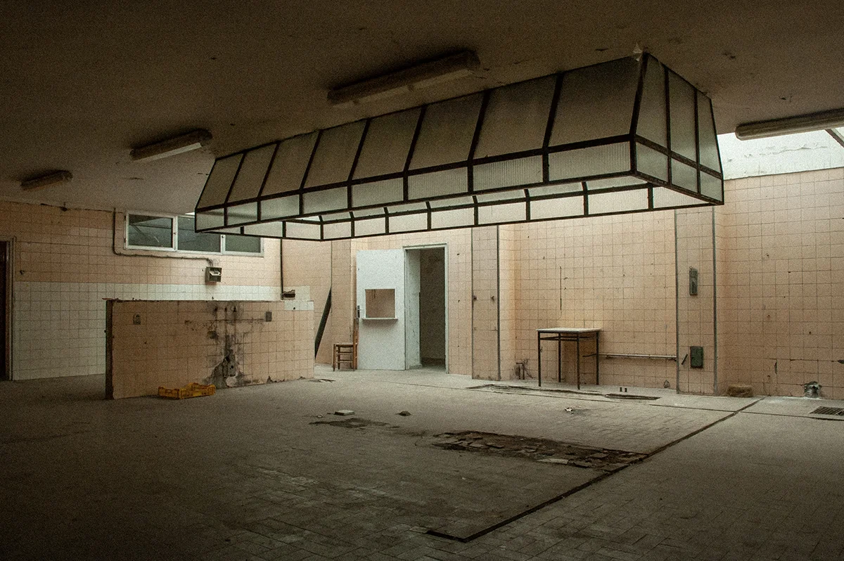 <p>&copy; Laura Tomé </p>
