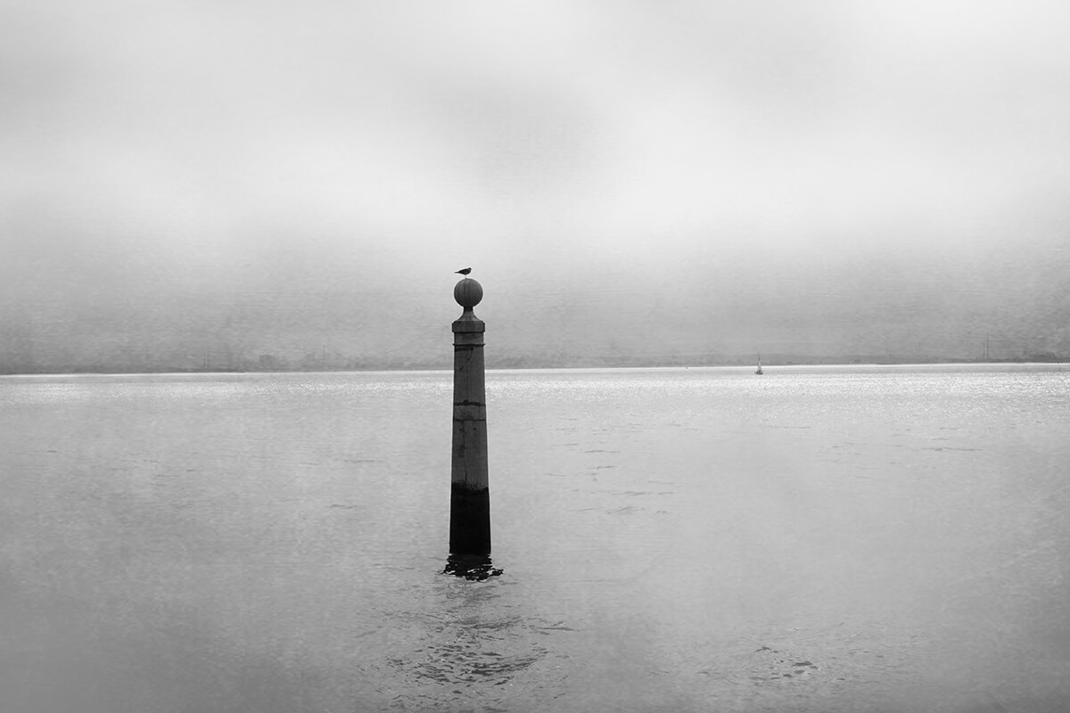 <p>© María Tuleda</p>