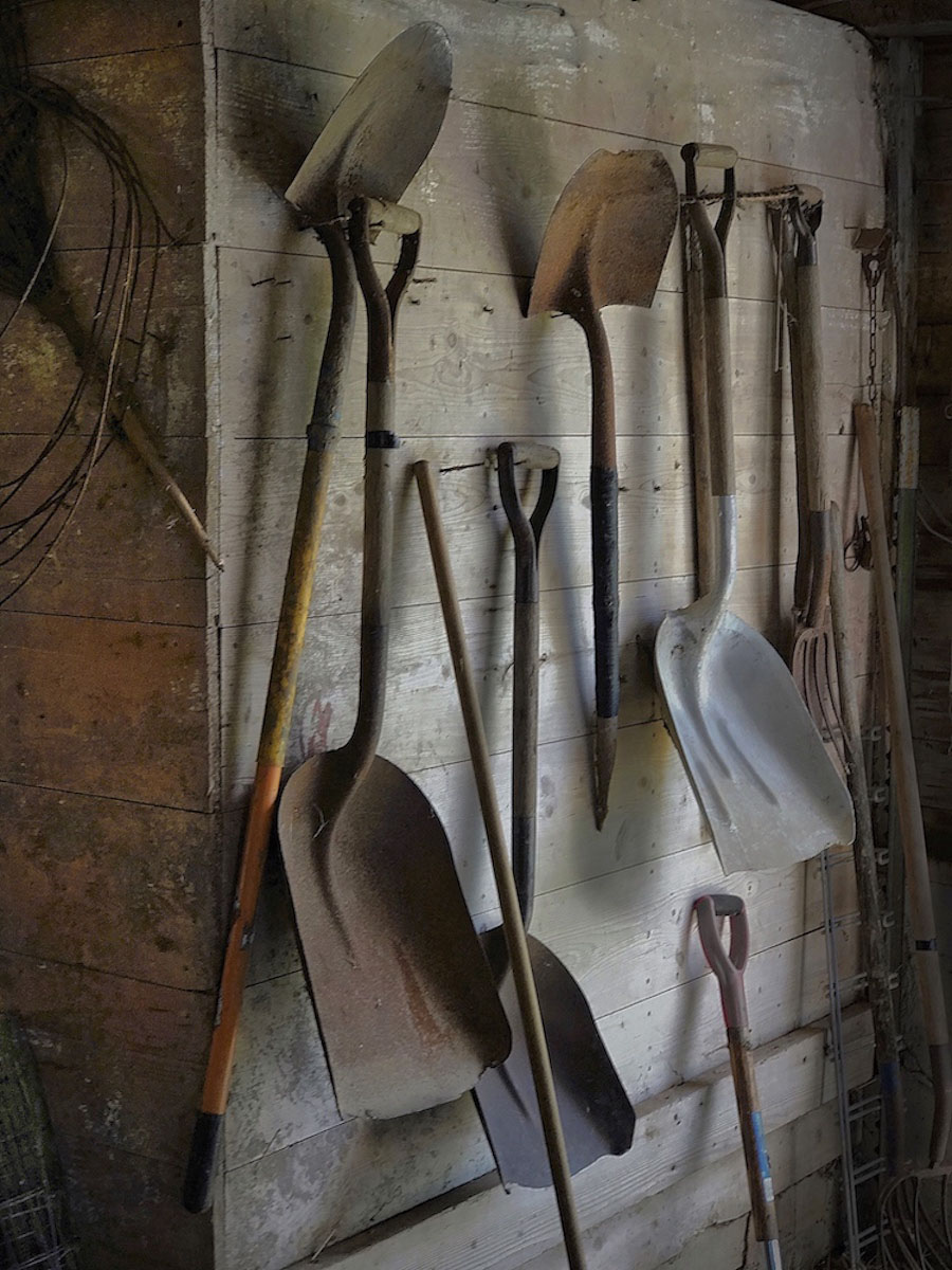 Shovels<p>© Steve Toole</p>