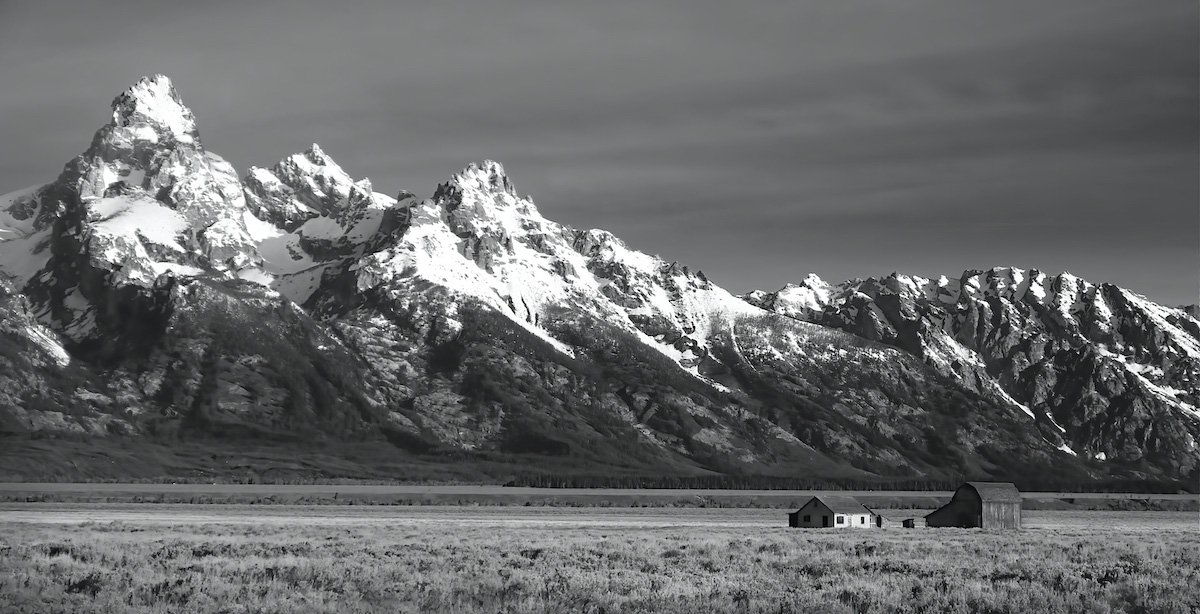 At the Feet of Majesty<p>© Steve Toole</p>