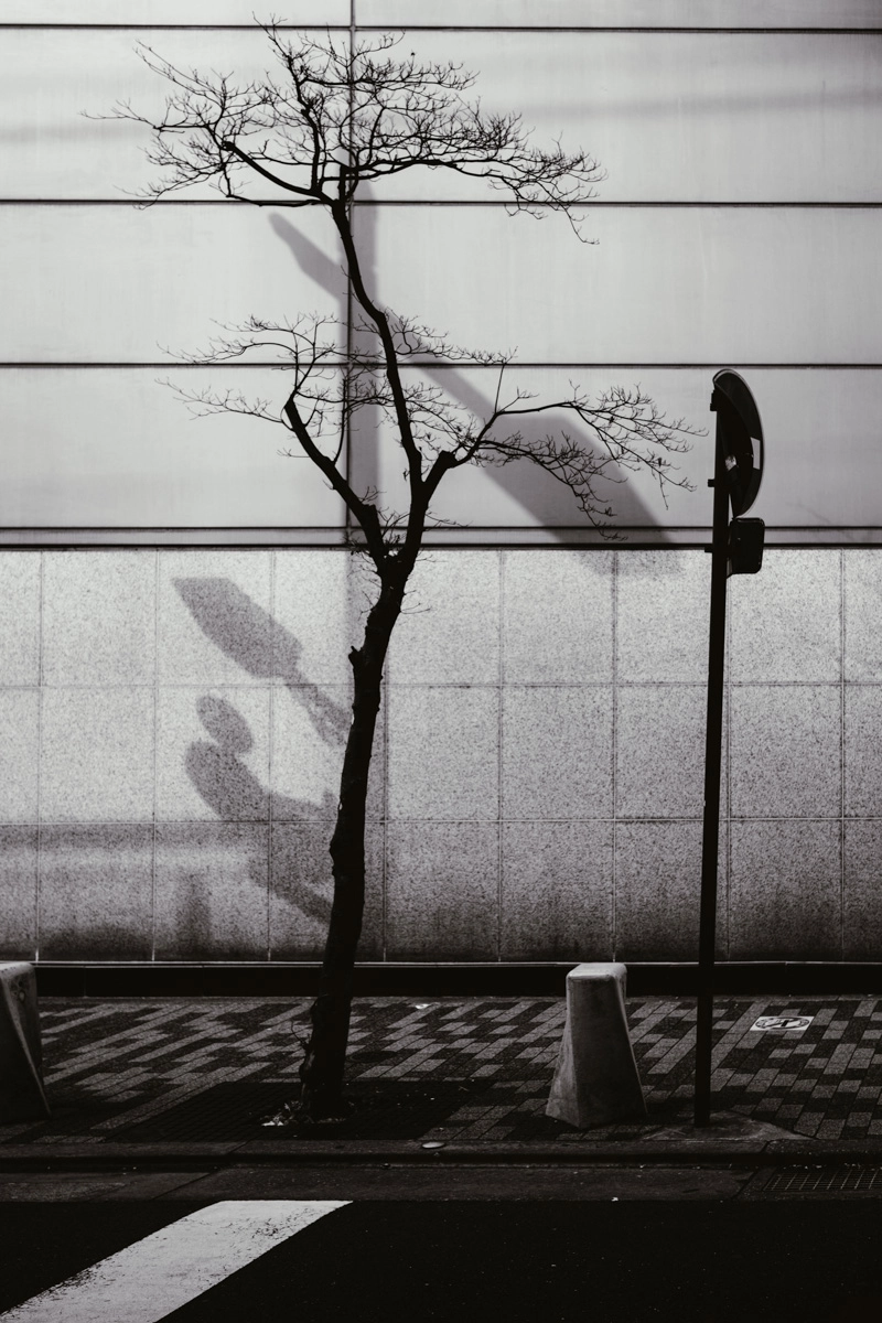 <p>© Takayuki Tobita</p>