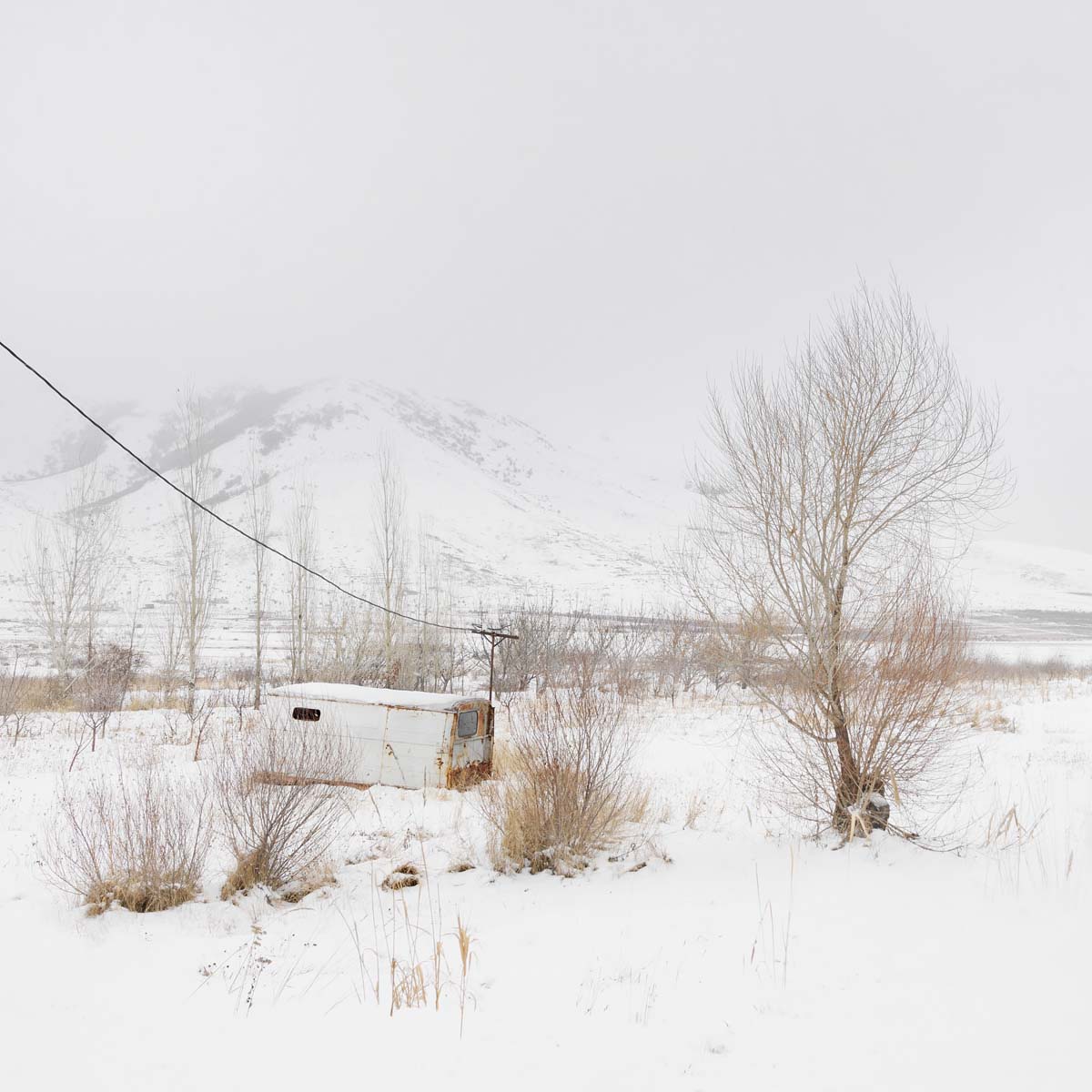 Feeling Winter: Connected<p>© Ted & Nune</p>