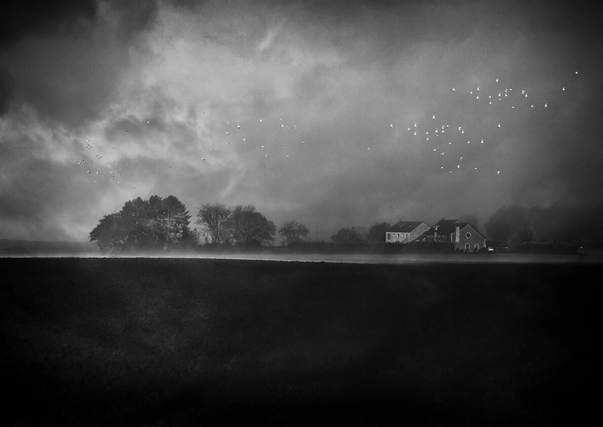 Foggy dreams<p>© Eddy Verloes</p>