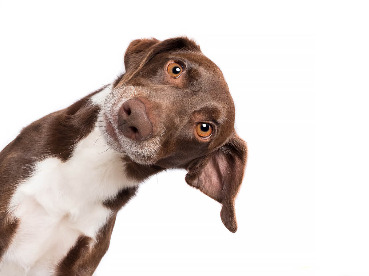 Karlo Anybodyln<p>© Elke Vogelsang</p>