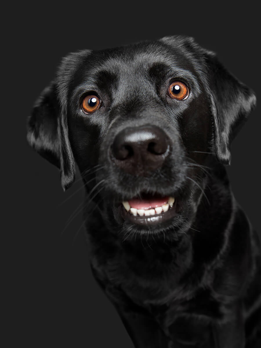 Ebba Food Must Go To Lab For Testing<p>© Elke Vogelsang</p>