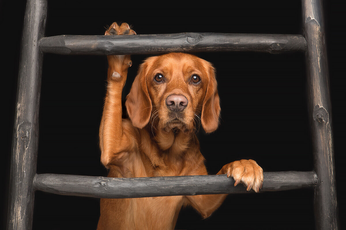 Framed Frida<p>© Elke Vogelsang</p>