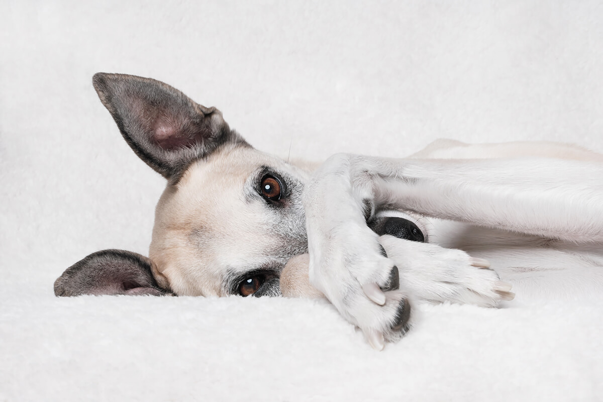 Scout Sunday Mood<p>© Elke Vogelsang</p>