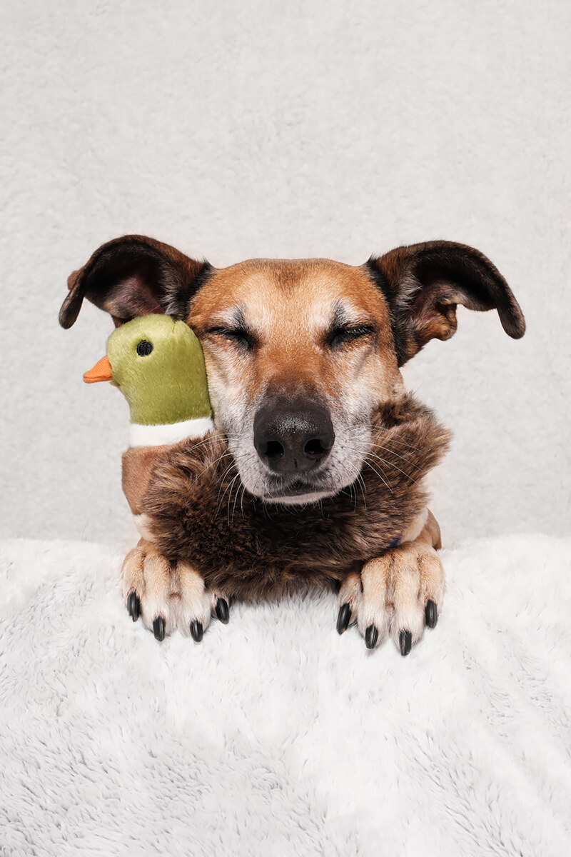 Noodles With Duck<p>© Elke Vogelsang</p>