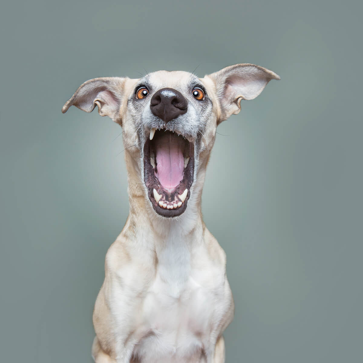 You are sooo beautiful<p>© Elke Vogelsang</p>