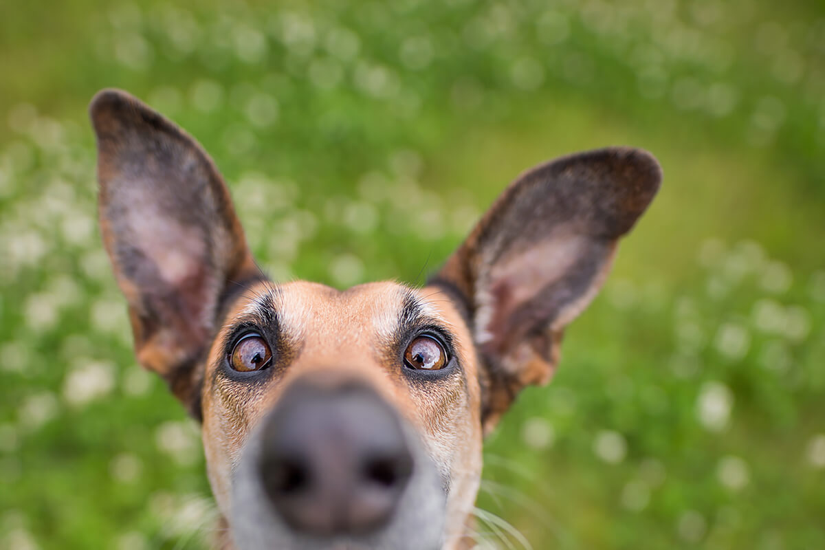 Noodles Im Down Here<p>© Elke Vogelsang</p>