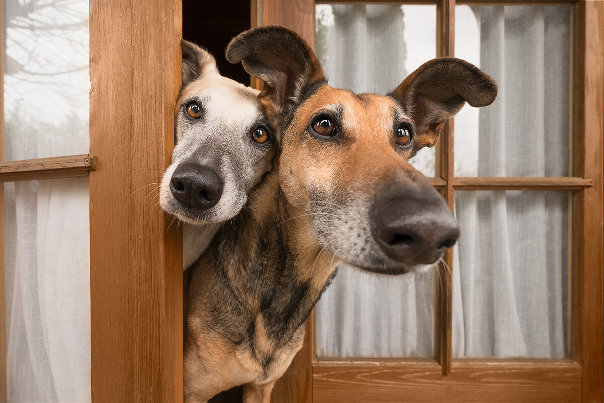 Stinkin Cute<p>© Elke Vogelsang</p>