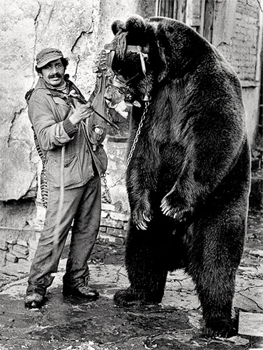 Dancing Bear, Bulgaria, 1985<p>© Jacko Vassilev</p>