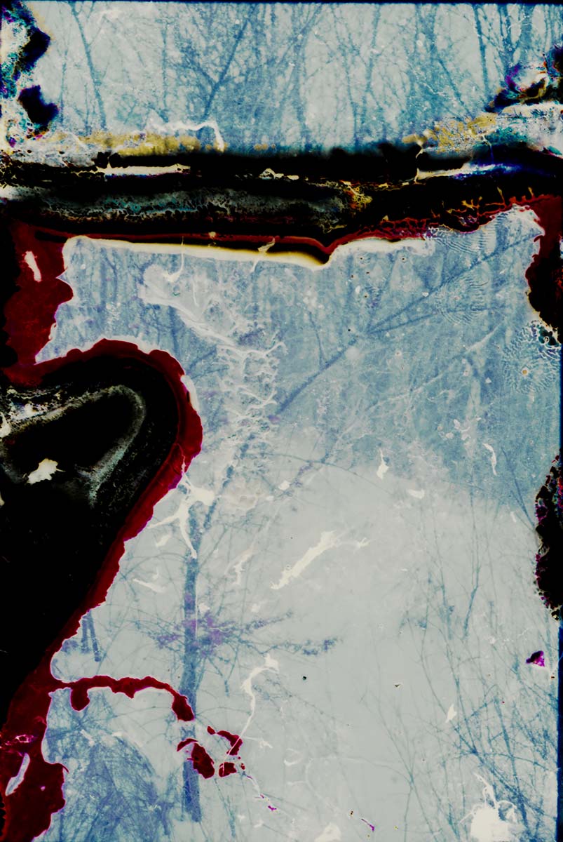 Eaten Memory of A Cold Distant Day<p>© Max van der Wal</p>