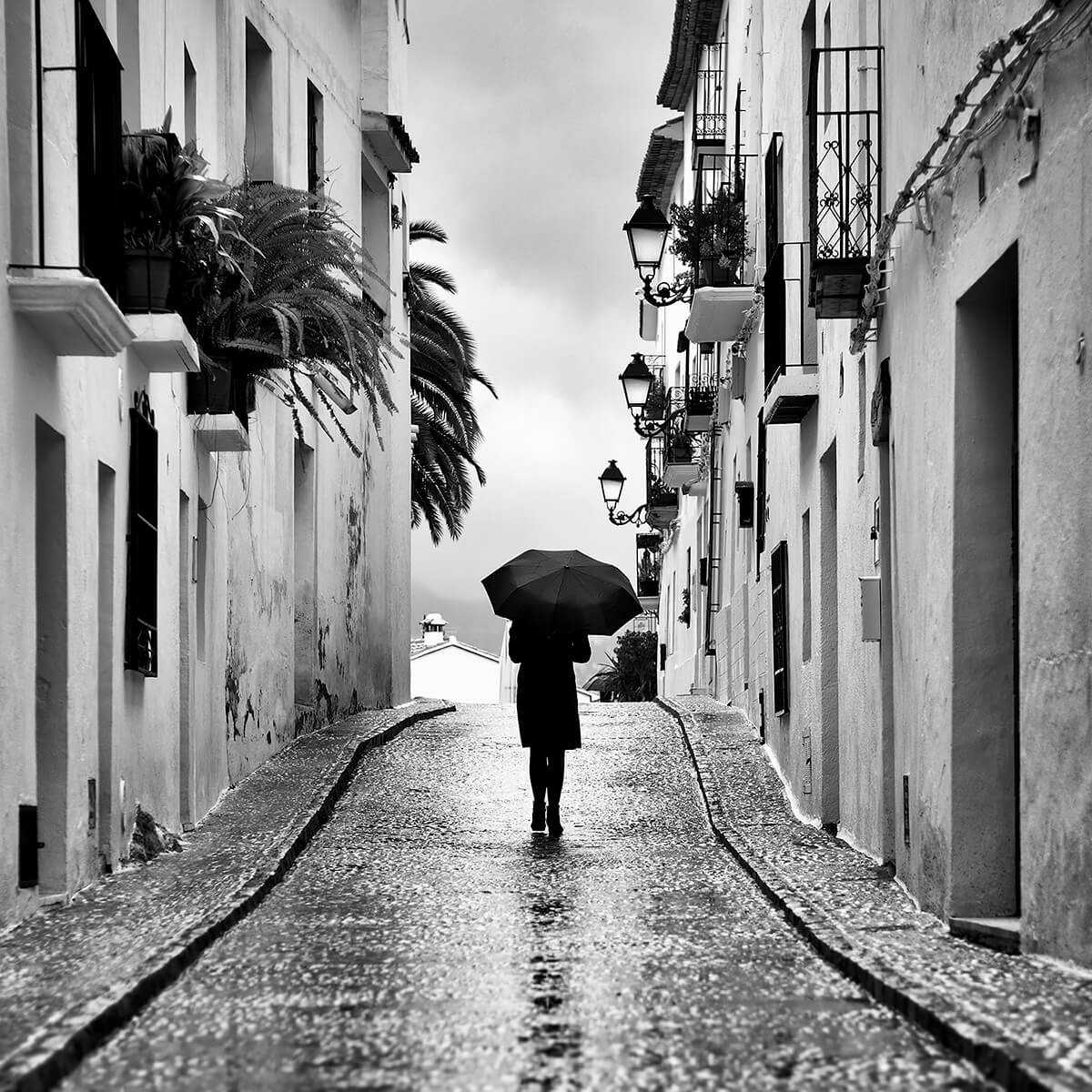 Rainy Altea<p>© Ragnar B. Varga</p>