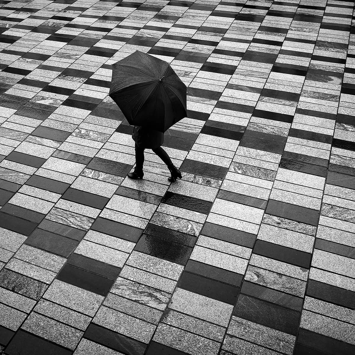 Another Rainy Day<p>© Ragnar B. Varga</p>