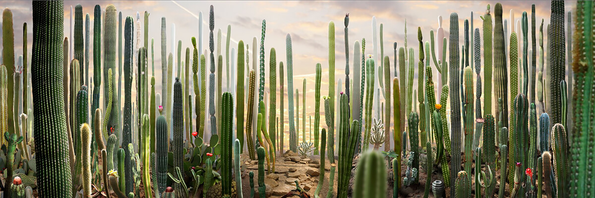 Theatre #8<p>© Ruud van Empel</p>