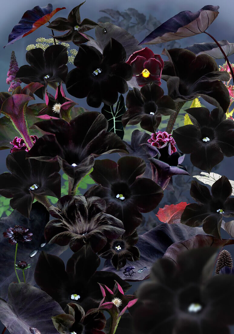 Floresta Negra #1<p>© Ruud van Empel</p>