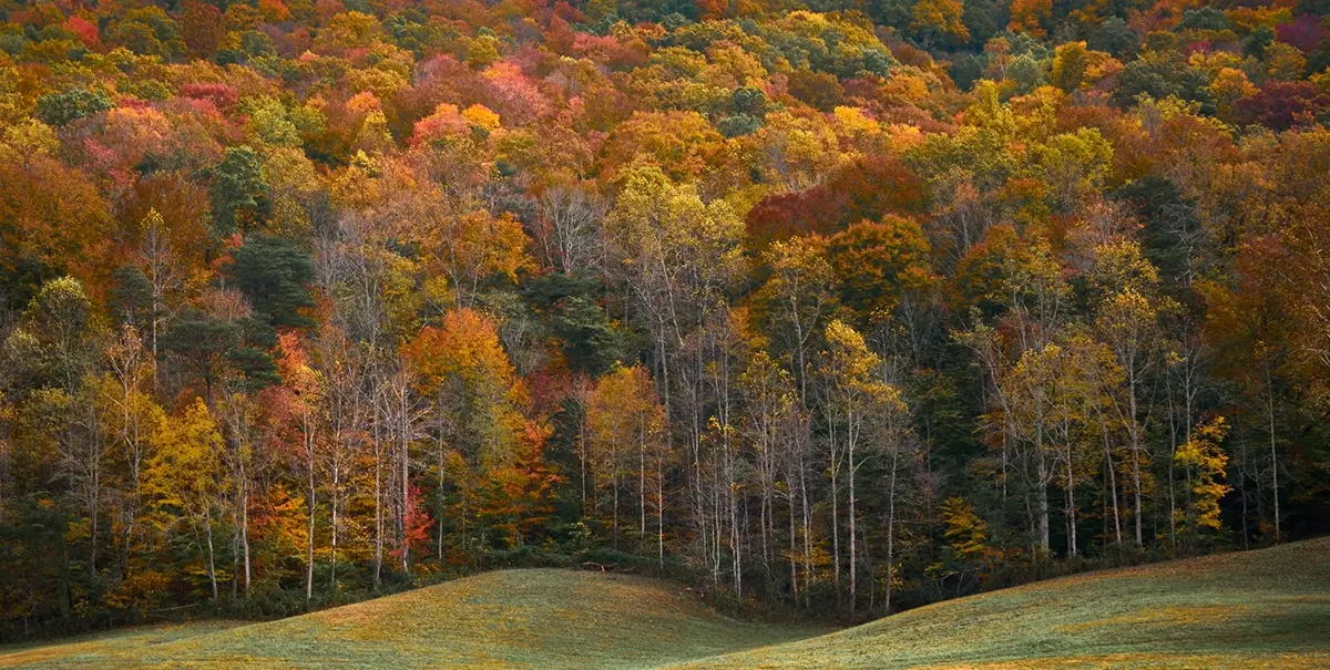 Fall<p>&copy; TJ Vissing</p>