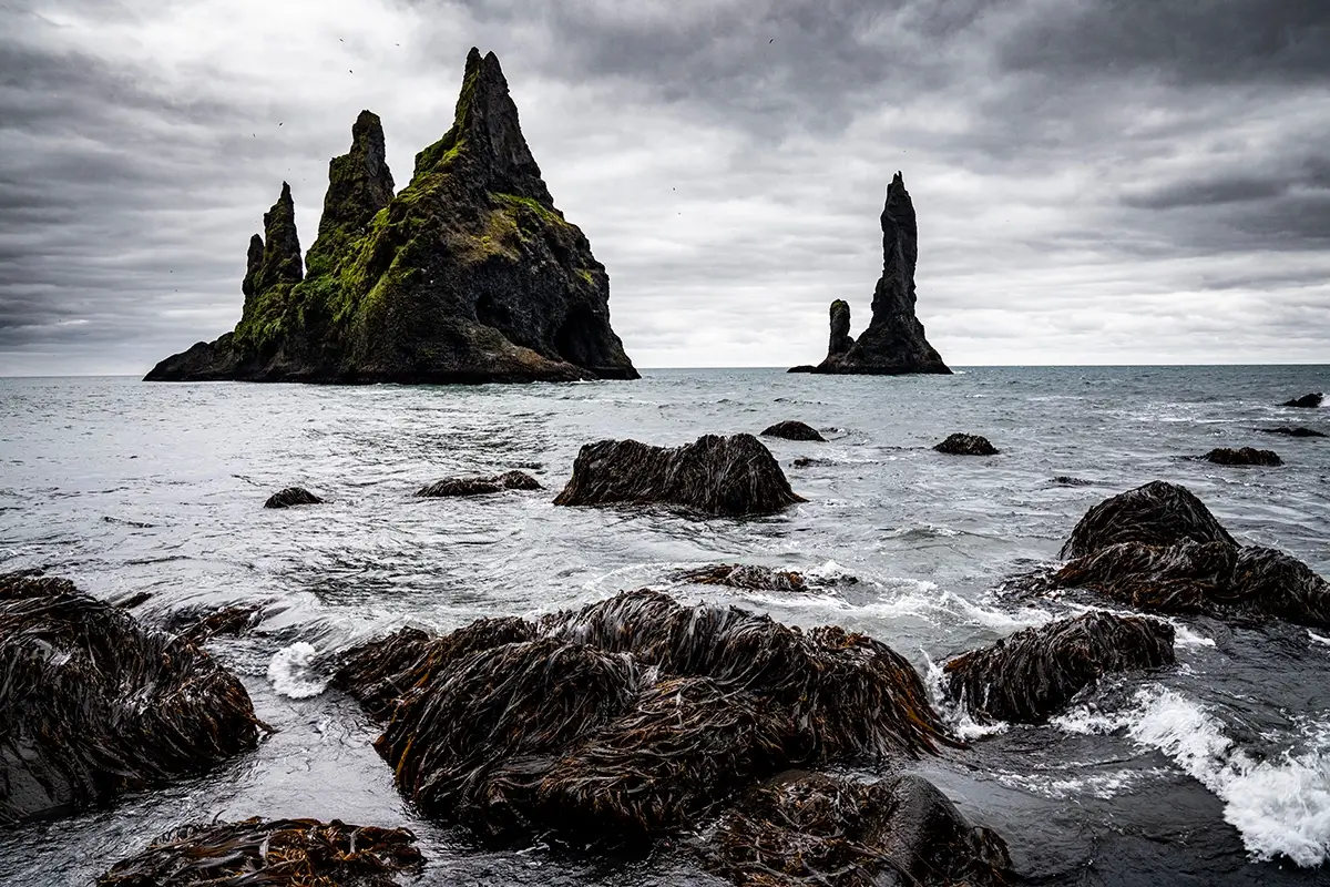 Icelandic Coast<p>&copy; TJ Vissing</p>
