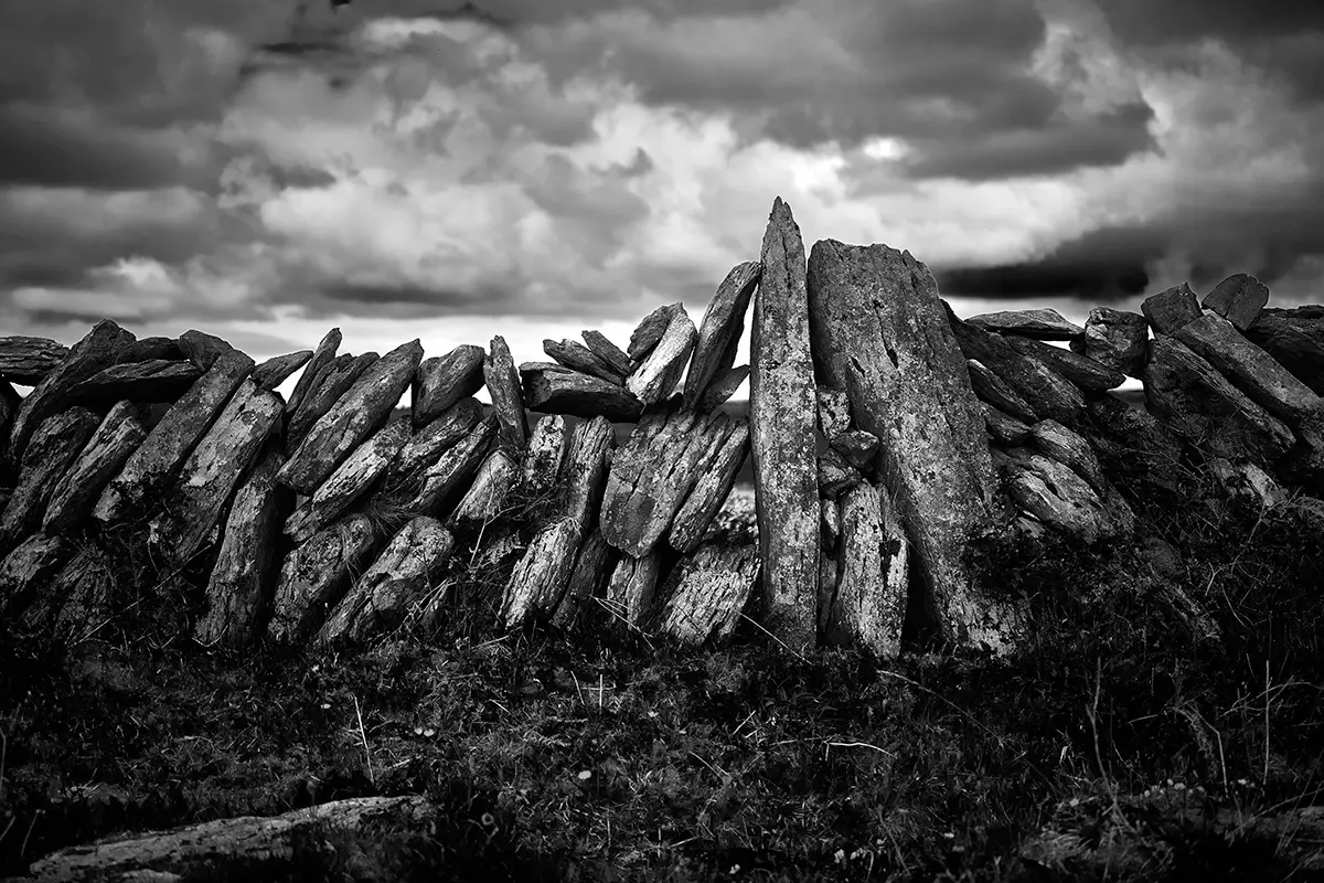 irish Fence<p>&copy; TJ Vissing</p>