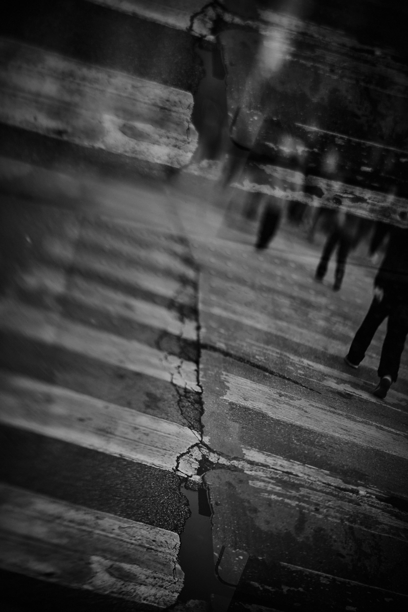 <p>&copy; Bernice Williams</p>