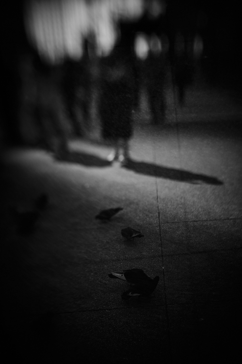 <p>&copy; Bernice Williams</p>