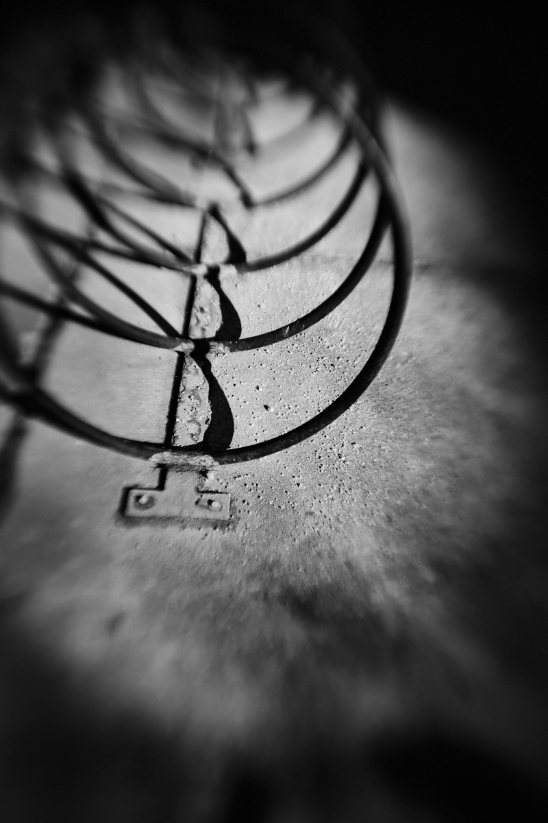 <p>&copy; Bernice Williams</p>