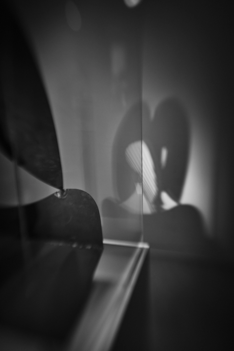 <p>&copy; Bernice Williams</p>