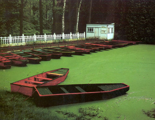 Punts, Les Quesnoy, France 1983<p>© Cole Weston</p>