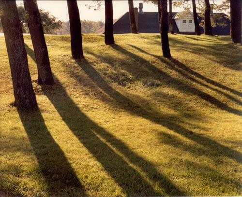 Knox Farm, Buffalo, New York 1979<p>© Cole Weston</p>