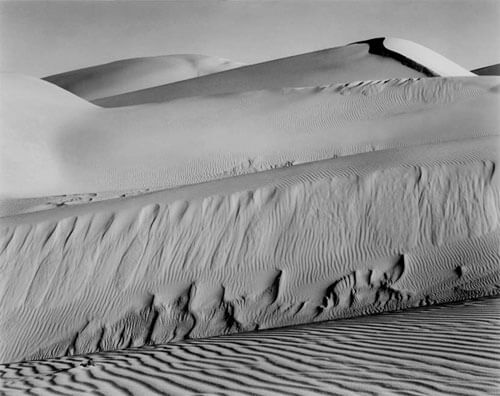 Dunes, Oceano 1936<p>© Edward Henry Weston</p>