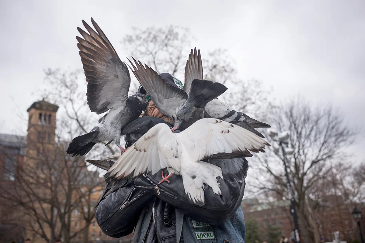Washington Sq. Park, NYC<p>&copy; Garry Waller</p>